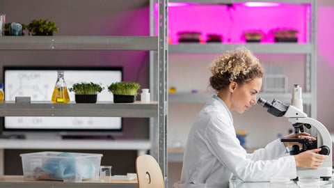 A female researcher in the laboratory