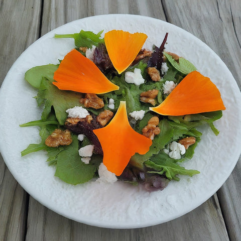 A sample of food plating with a touch of california poppy petals on top