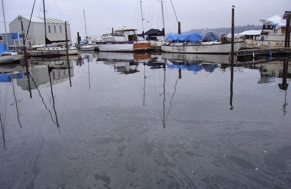 Greywater pollution in a marina