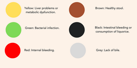 What Your Poo is Trying to Tell You - I Quit Sugar