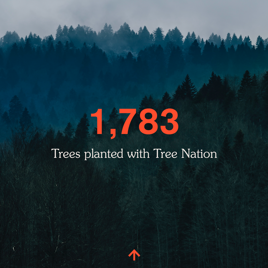 Trees planted with Tree Nation Chance Running