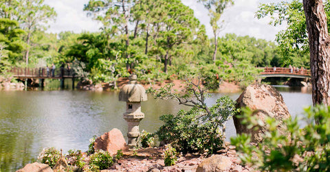 Morikami Museum and Japanese Gardens