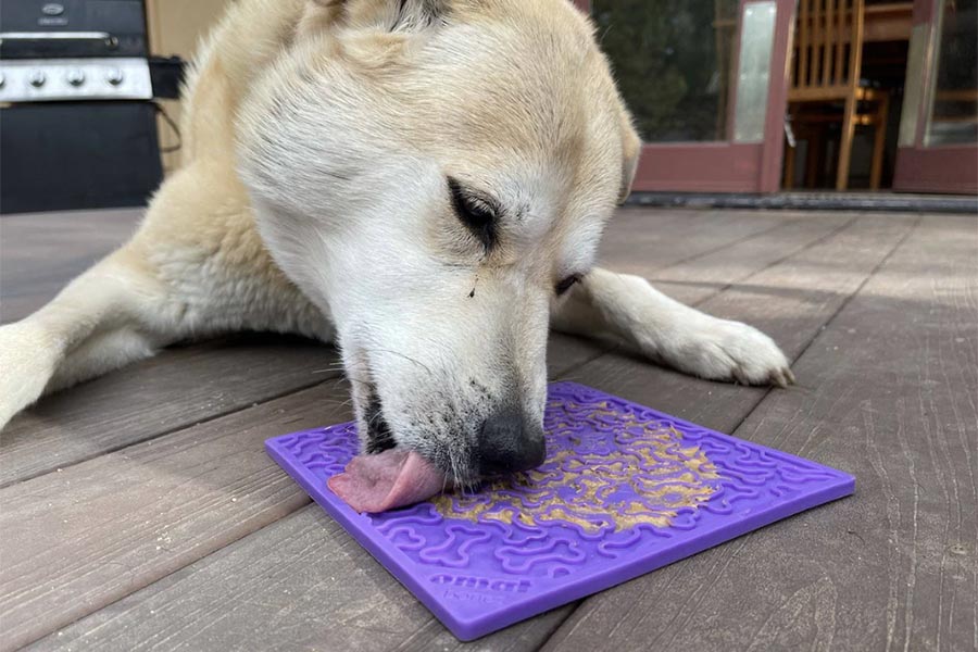 lick mat dogs