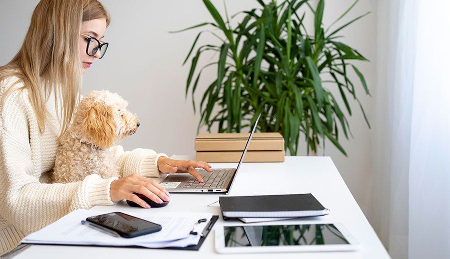 dog with human working on laptop