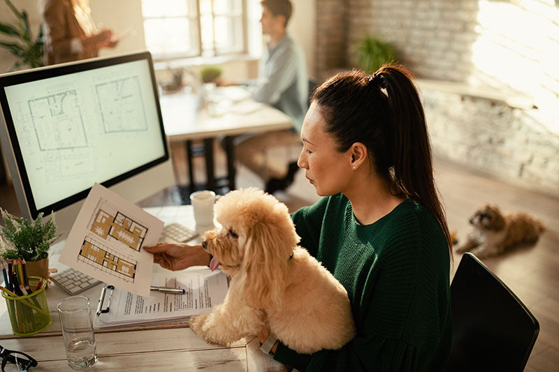 poodle and woman in front of computer