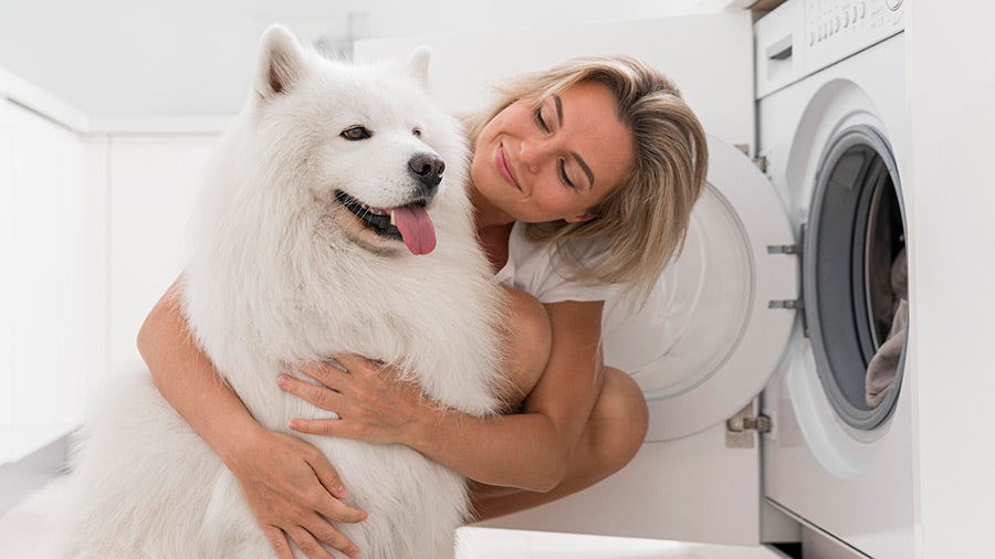 woman and dog next to washing machine