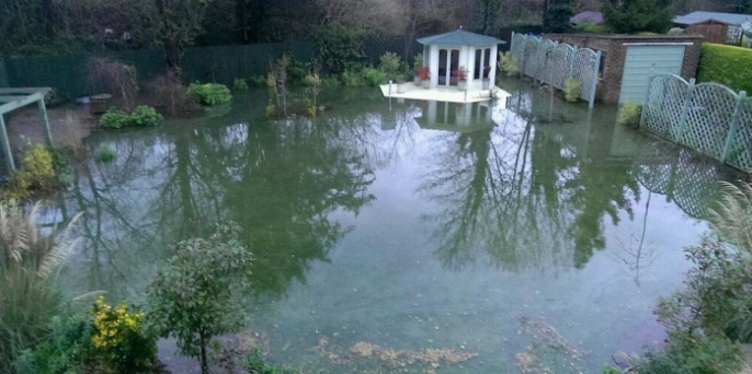 flooded garden