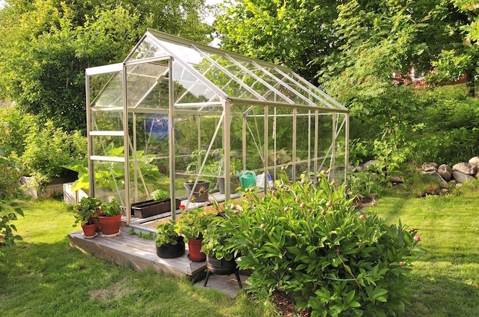 Ease of access around aluminium greenhouse