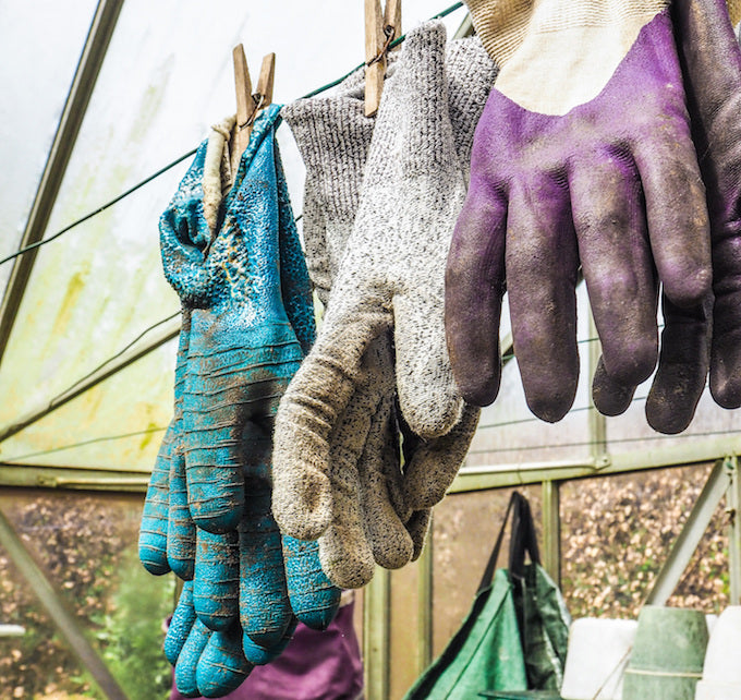 Gardening gloves hanging up greenhouse