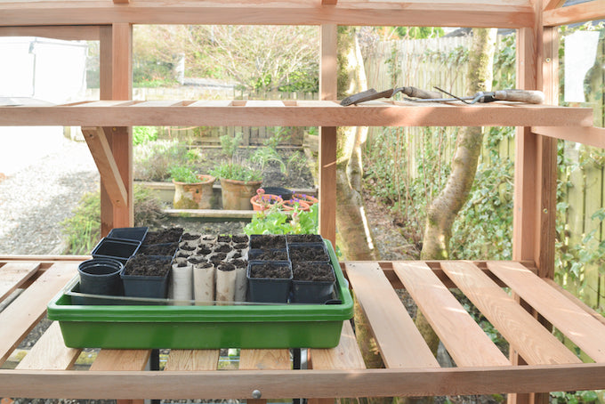 Propagators on wood frame greenhouse shelving