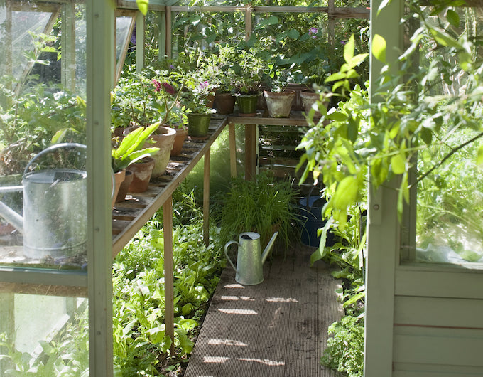 10 Clever Ways To Organise A Greenhouse – Waltons
