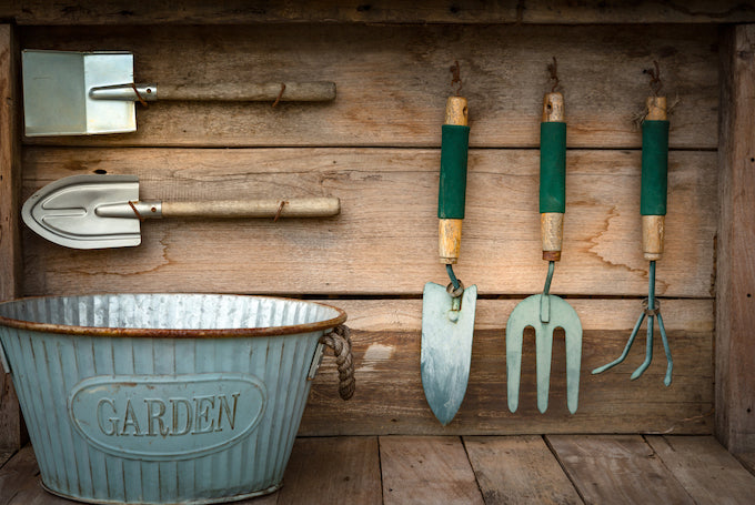 Hand tools and basket in greenhouse