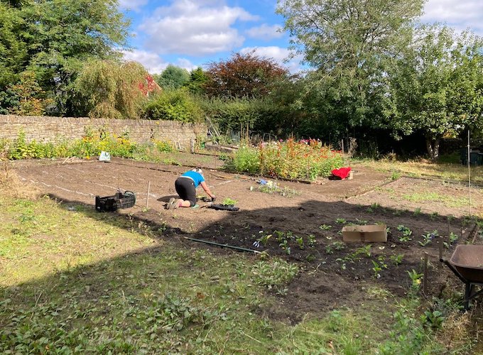 Person working in a community garden