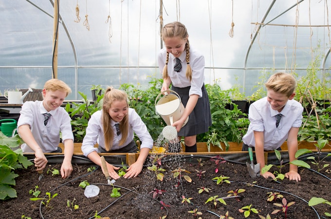 Teenage kids in greenhouse gardening