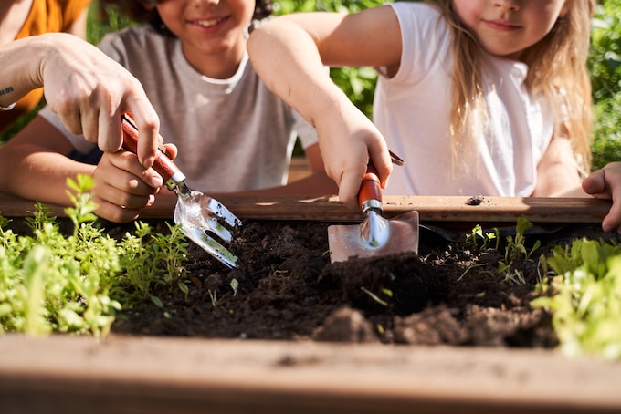 Closeup of children's hands digging in the soil