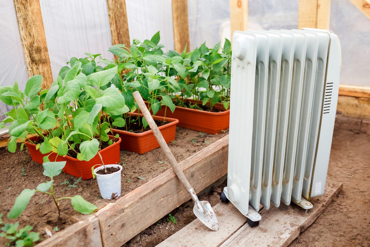 Oil radiator in a greenhouse