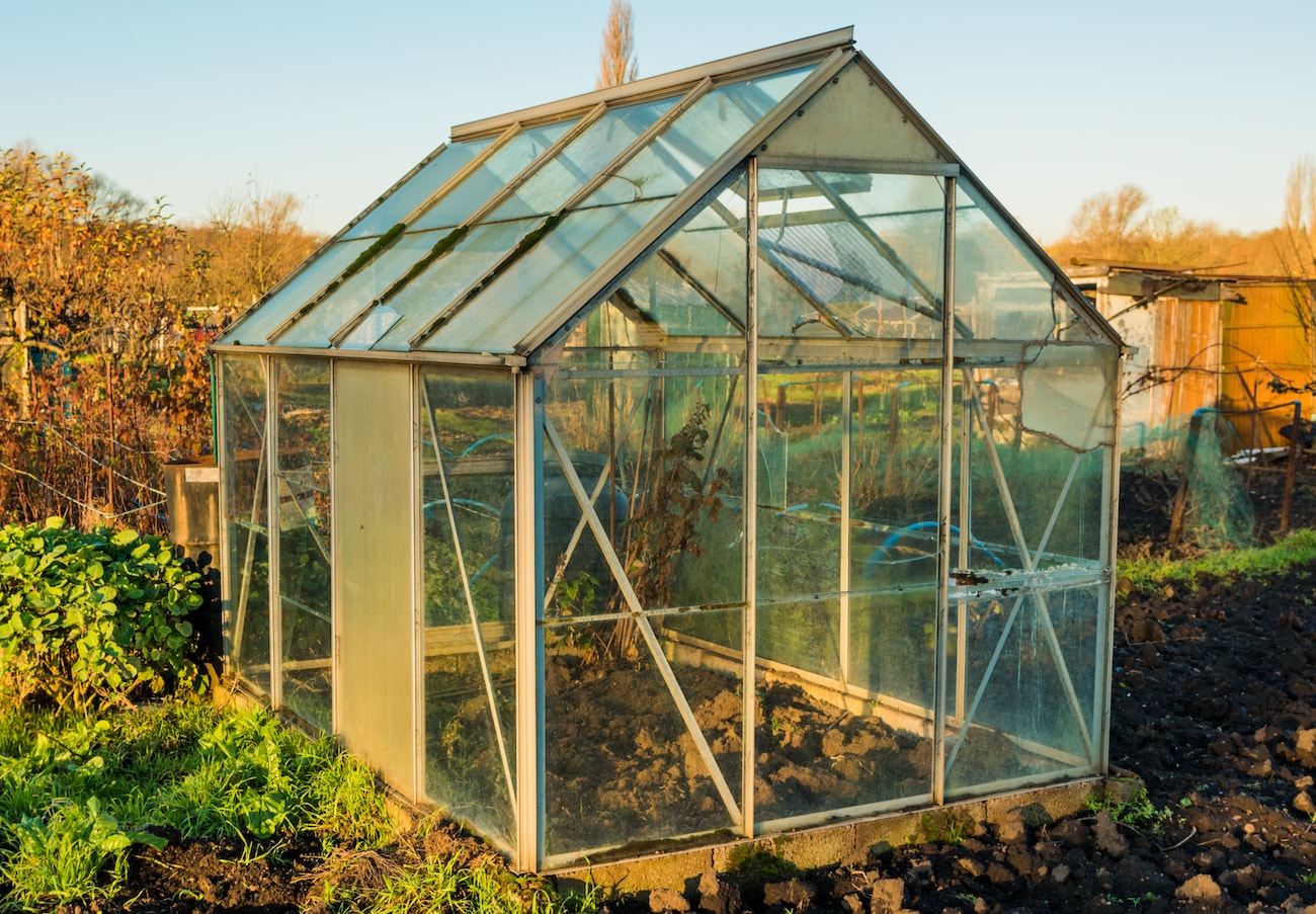 Glass greenhouse on allotment plot