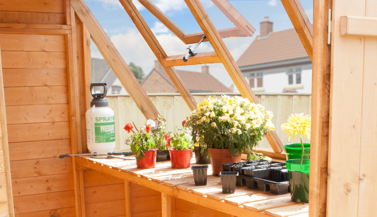 Interior of Waltons potting shed greenhouse