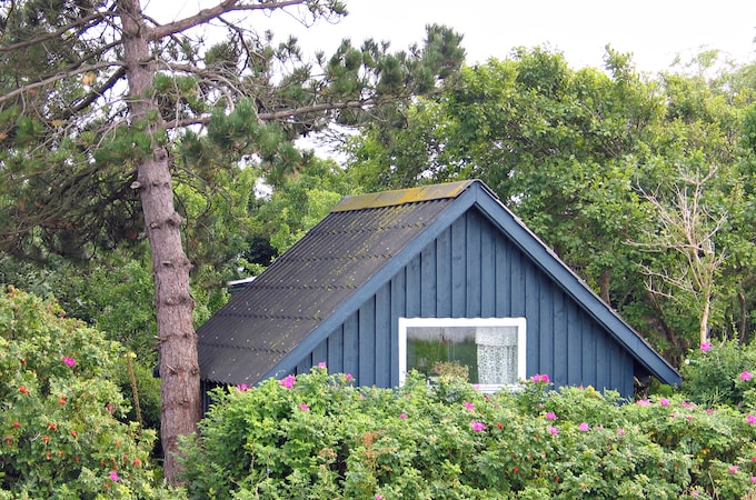 Blue painted wooden shed