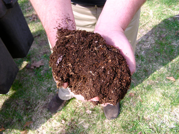 Mushroom compost for spring mulching