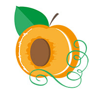 apricot-illustration