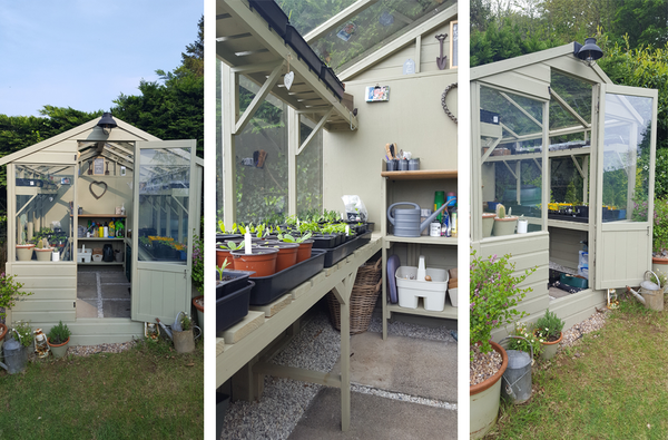 A collection of Customer Images of a 8 x 6 greenhouse in the garden surrounded by hedges