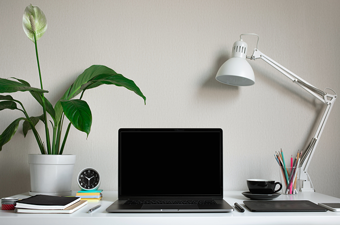 View of a desk with laptop and plant