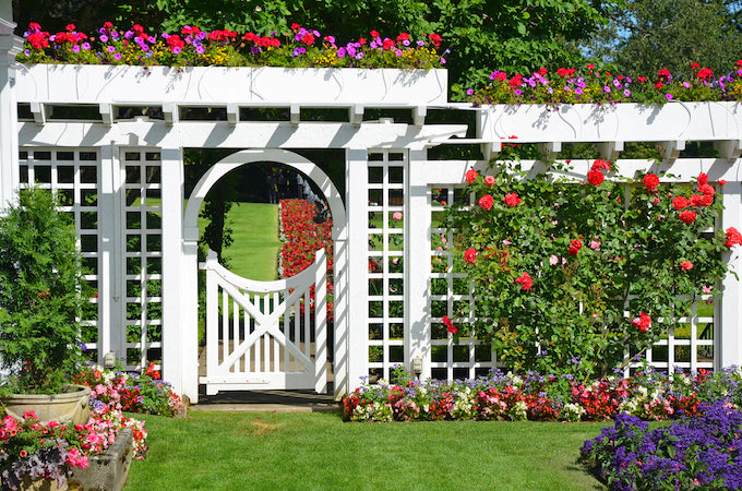 A white painted trellis that divides the garden