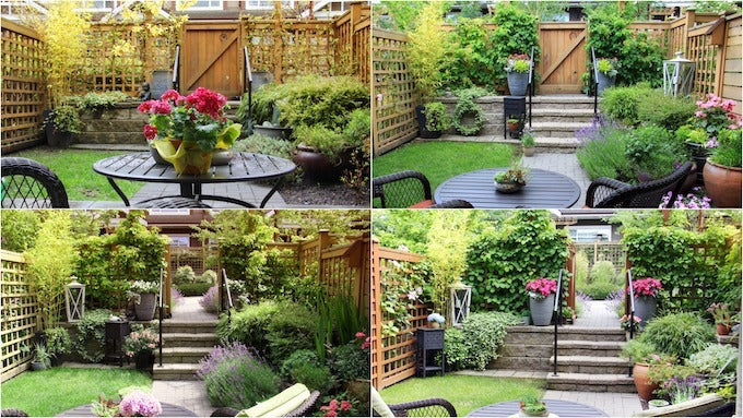 Collection of four images showing a garden growing and over the different seasons. Hedging at the back grows to fill in gaps