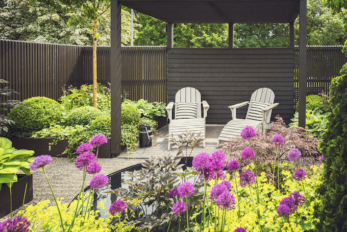 Garden with decking, chairs and allium