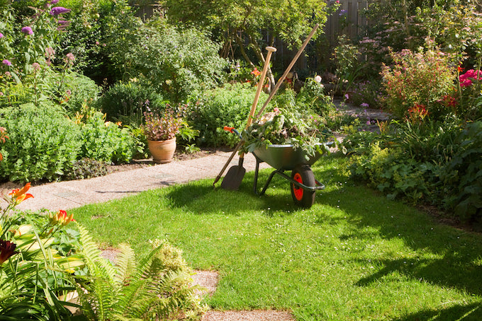 trim and tidy the garden