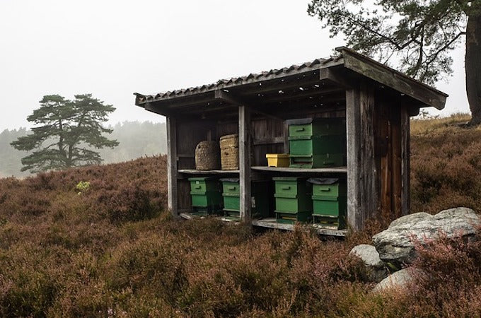 Outdoor beekeeping shed on moorlands