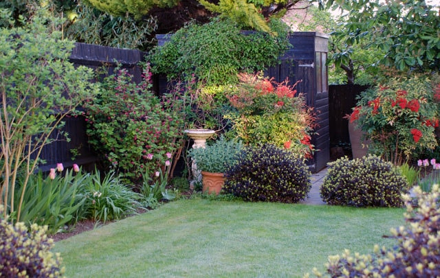 Black painted shed carefully concealed in garden