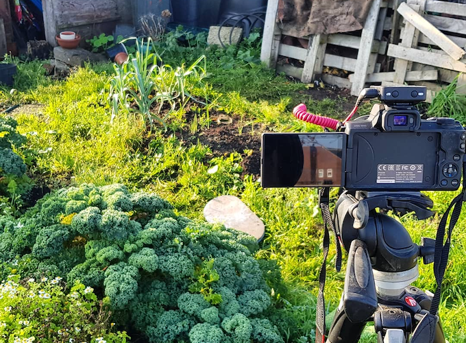 Camera filming a vegetable plot