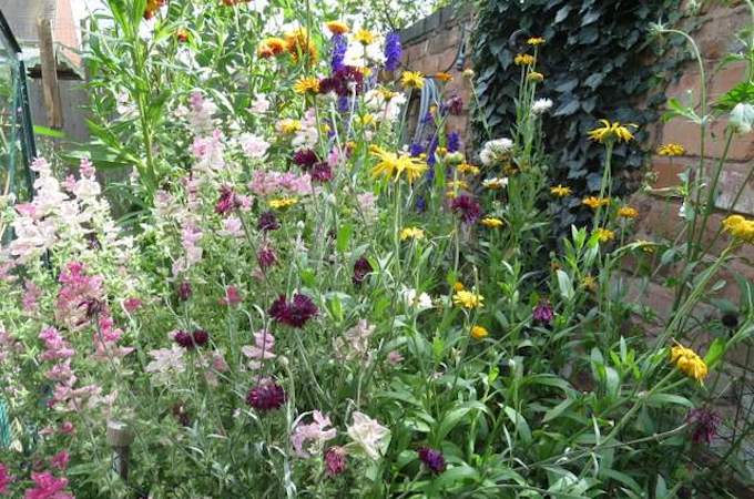 Cutting beds in garden