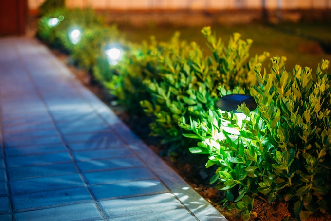 Garden pathway with solar lights