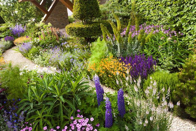 Beautiful garden borders and beds 