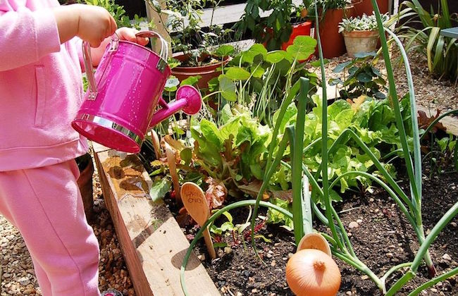 little green fingers watering plants