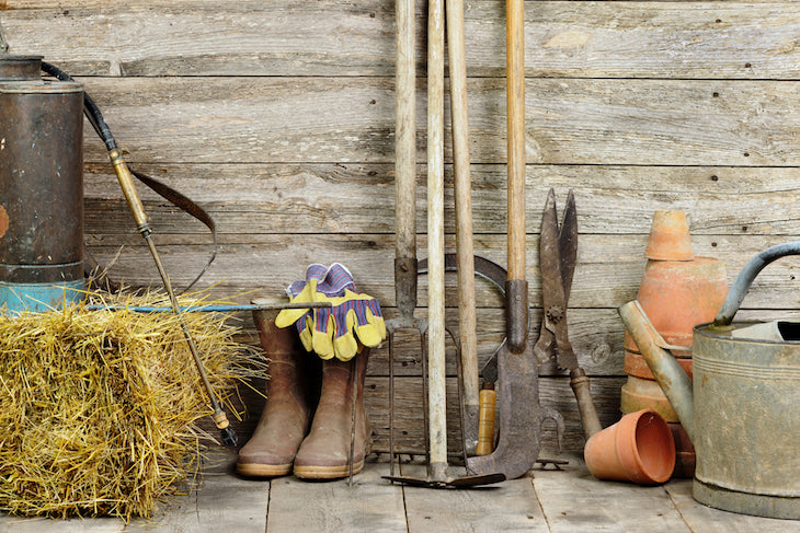 gardening tools to look after in winter