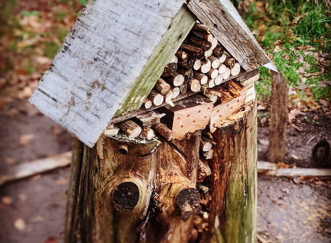 Homemade bug hotel made from scrap wood