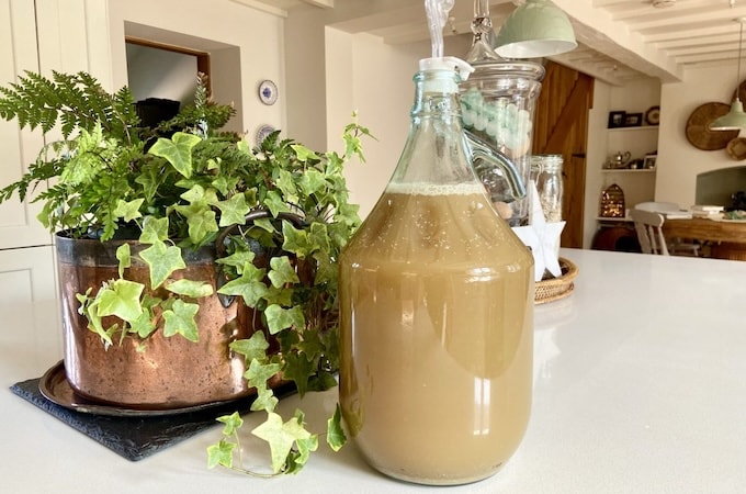 Homemade pumpkin beer in jug