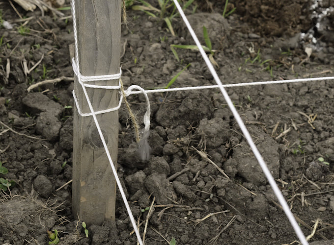 marking out lines for shed base with string