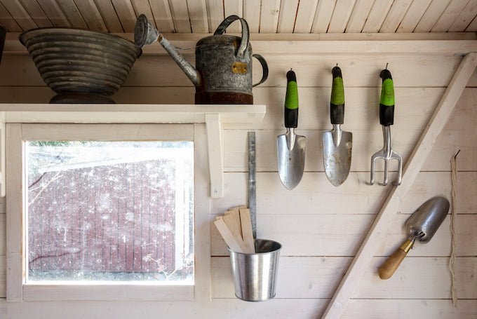 Neat and tidy shed interior