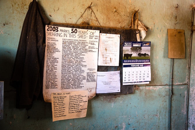 Sheep shearing poster in shed