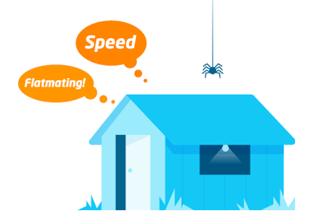 spareroom-illustration-shed-spider