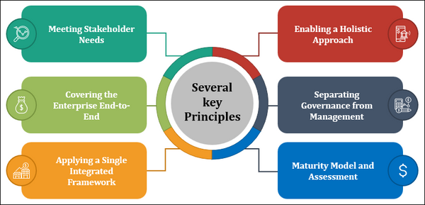 several key principles of cobit