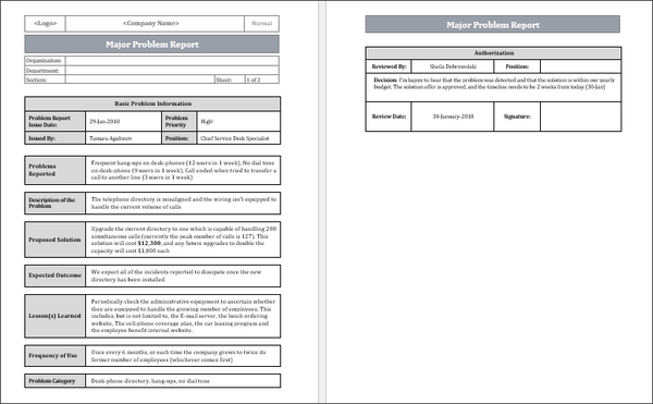 Major Problem report template