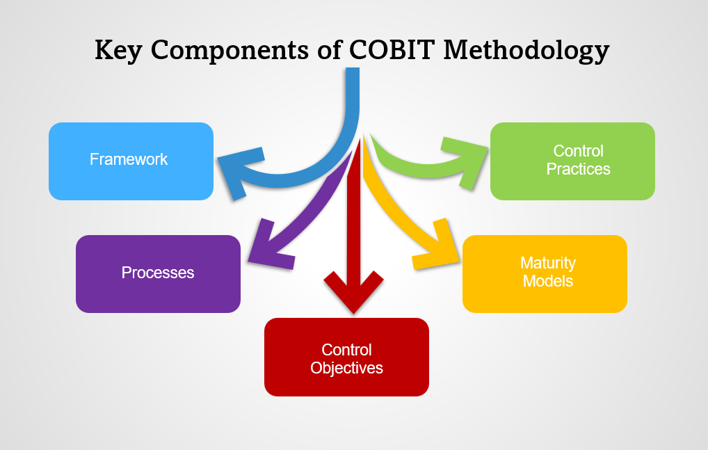 Key Components of COBIT Methodology