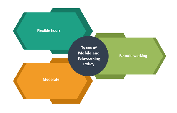 Teleworking, Teleworking policy