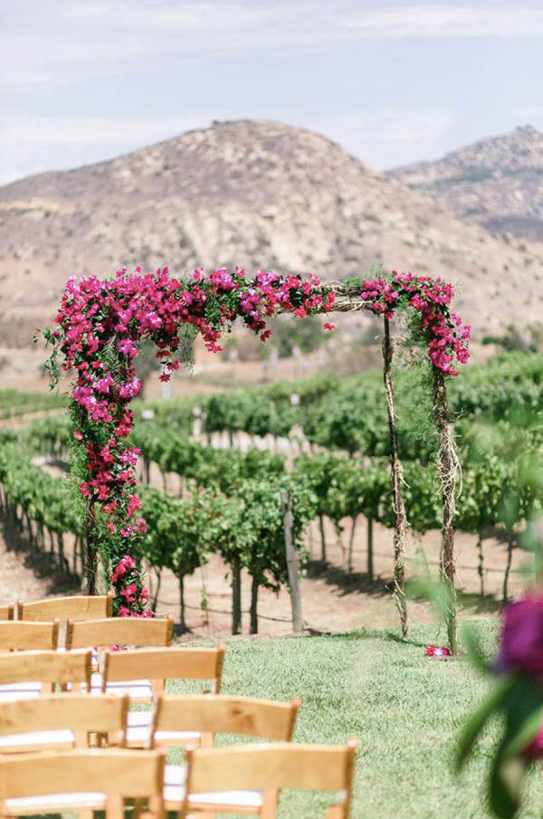 Bright Magenta Vineyard Wedding Arch Door